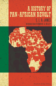A History of Pan-African Revolt (e-Book)