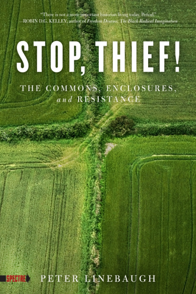 Stop, Thief! - The Commons, Enclosures, and Resistance